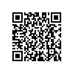 D55342E07B196ARWS QRCode