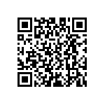 D55342E07B196BRWS QRCode