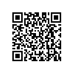 D55342E07B1B00PT1 QRCode