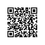 D55342E07B1B00PWS QRCode