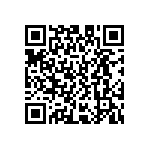 D55342E07B243ERWS QRCode