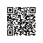 D55342E07B24E9PWP QRCode