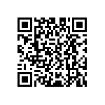 D55342E07B287ARWP QRCode