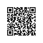 D55342E07B2B61MWS QRCode