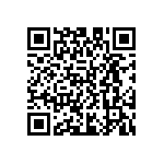 D55342E07B305BRTP QRCode