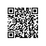 D55342E07B309BRWS QRCode