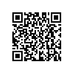 D55342E07B309ERWS QRCode