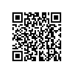 D55342E07B330BRWS QRCode