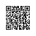 D55342E07B332ERWS QRCode