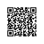 D55342E07B33B2RTP QRCode