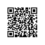 D55342E07B383ARTI QRCode