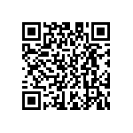 D55342E07B3B30RWS QRCode