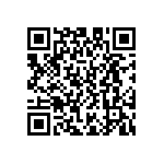 D55342E07B3B83RWS QRCode