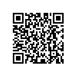 D55342E07B402ERWS QRCode