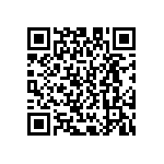 D55342E07B448BRWS QRCode