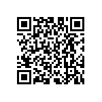 D55342E07B475DPWS QRCode