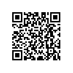 D55342E07B499BRTP QRCode