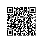 D55342E07B4B22RTP QRCode