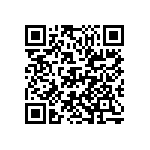 D55342E07B626ARWS QRCode