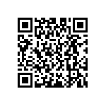 D55342E07B787AMWS QRCode