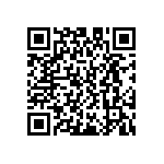 D55342E07B787ERWS QRCode