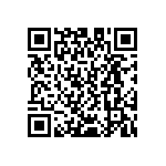 D55342E07B887ERWS QRCode