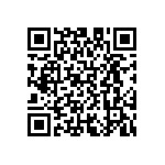 D55342H07B17B4PT5 QRCode