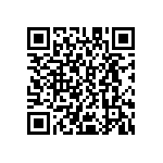 D55342K07B80E6RWSV QRCode