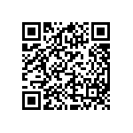 DBE25P0L4A191K87161 QRCode