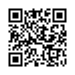 DBM17X2SYA197 QRCode