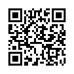 DBMP13W3SJA197 QRCode