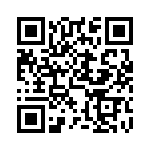 DCMG17C5PJK87 QRCode