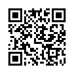 DD12-4111-111 QRCode