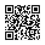 DEBE33D103ZB3B QRCode