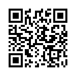 DL4933-13 QRCode