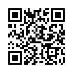 DMG4466SSSL-13 QRCode