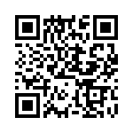 DP4RSA60E20 QRCode