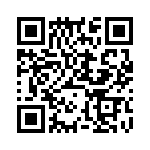 DP4RSA60E60 QRCode