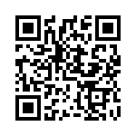 DT46303 QRCode