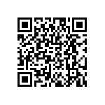 DW-01-07-T-S-300 QRCode