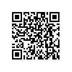 DW-02-09-T-S-384 QRCode