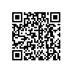 DW-02-13-T-S-1000 QRCode