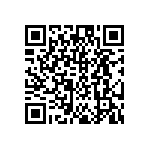 DW-02-17-T-S-370 QRCode