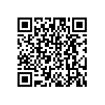 DW-03-15-T-S-295 QRCode