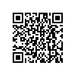 DW-03-17-T-S-256 QRCode