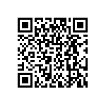 DW-04-07-T-D-310 QRCode