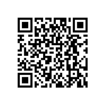 DW-04-07-T-S-290 QRCode