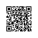 DW-04-09-T-S-300 QRCode