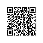 DW-06-13-G-S-917 QRCode