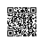 DW-06-13-T-S-300 QRCode